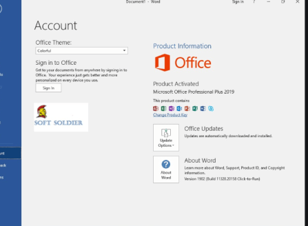 how to find microsoft office updates on mac
